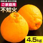 ご 不知火 約4.5kg