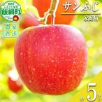 りんご 秋映 5kg