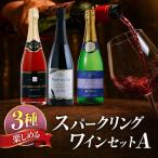 塩尻産 スパークリングワイン 3本セットA