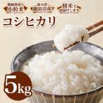 令和8年度産 コシヒカリ 小粒米 精米 5kg