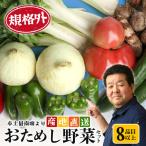 食べきり新鮮お野菜セット 8品目以上 NI-2