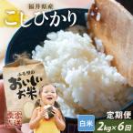 定期便 6ヶ月連続お届け コシヒカリ 2kg