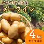 掘りたてメークイン 4kg