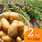 掘りたてメークイン 2kg
