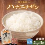定期便 3ヶ月連続お届け ハナエチゼン 2kg