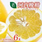 訳あり 河内晩柑 2L