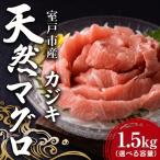 天然カジキマグロ 鮪 まぐろ 1.5kg