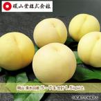 白桃 清水白桃