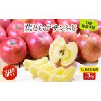 りんごシナノゴールド訳ありCA貯蔵 りんご