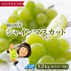 シャインマスカット 1.2kg以上