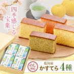 白川四季の宝菓 かすてら4種セット 松川屋