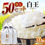 お米 白王 HAKUO 10kg