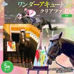 クリアファイル5枚入り BRTV209