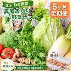 真庭あぐり野菜セット カット野菜が1品入る