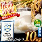 \白米 産コシヒカリ 10kg