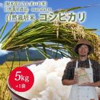 自然栽培農家 marufarm 自然栽培米