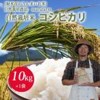 自然栽培農家 marufarm 自然栽培米