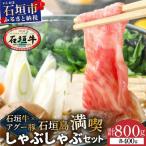 石垣牛×アグー豚 南ぬ豚 石垣島満喫しゃぶしゃぶセット 各4…