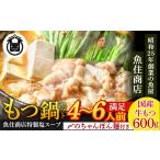 AE295.魚住商店 特製塩もつ鍋セット4~6人前