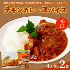 チキンカレー スパイス 2袋セット
