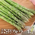 27年産 水村農園 アスパラガス M-L 300g