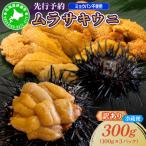 ムラサキウニ 訳あり 300g