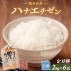 定期便 6ヶ月連続お届け ハナエチゼン 2kg