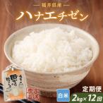 定期便 12ヶ月連続お届け ハナエチゼン 2kg