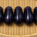 fu.... налог вода .. примерно 3 kilo [ рассылка не возможно регион : отдаленный остров * Hokkaido * Okinawa префектура ][1734590] Osaka (столичный округ) Izumi город 