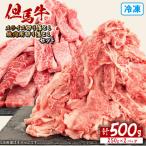 但馬牛 スライス 焼肉用 切り落とし 計500g
