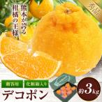 デコポン 3kg