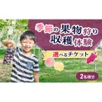 果物狩り 収穫体験 チケット 2名様分 フルーツ狩り