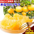 訳あり 木なり ハッサク 約5kg