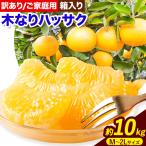 訳あり 木なり ハッサク 約10kg
