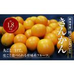 種ごと 丸ごと きんかん 約1.8kg
