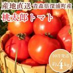 桃太郎 トマト 約4kg