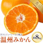 温州みかん 8kg