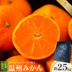 温州みかん 約2.5kg