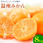 温州みかん 約8kg