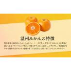 【3ヶ月定期便】 温州みかん 約8kg 日本フルーツ株式会社 熊本県 荒尾市 《10月上旬-12月末頃出荷》 デコポン 果物 フルーツ スイ.. 熊本県荒尾市