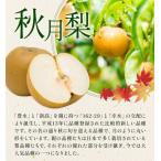 秋月梨 3kg 日本フルーツ株式会社 梨 熊本県長洲町 約3kg