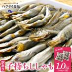 子持ちシシャモ 1.0kg