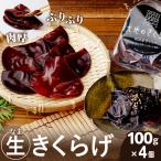 生きくらげ 400g