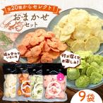 食べ比べおまかせ えびせん 9袋