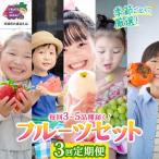 フルーツセット 3回定期 共通返礼品 県産