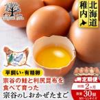 fu.... налог [2 месяцы установленный срок рейс ]... .... Tama .30 штук Hokkaido . внутри город 