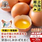 fu.... налог [3 месяцы установленный срок рейс ]... .... Tama .30 штук Hokkaido . внутри город 