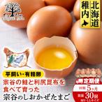 宗谷のしおかぜたまご30個入