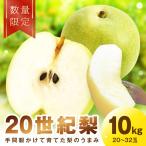 廿世紀梨 10kg