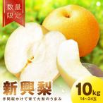 新興梨 10kg